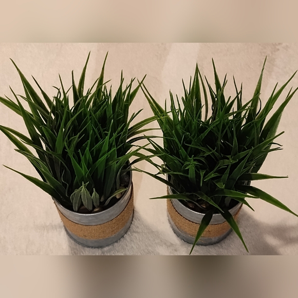 NEW! 2- Artificial Potted Grass Plants - Picture 1 of 14